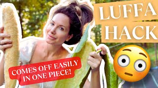 EASIEST WAY TO PROCESS GREEN LUFFAS