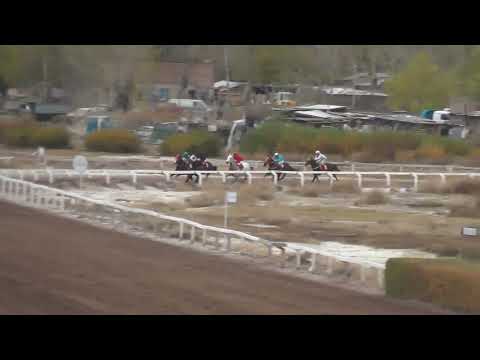 Décima quinta carrera, "Premio Día del Himno", distancia 1000 metros