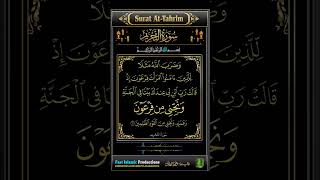 Download lagu Surat At-Tahrim Ayat-11 #tilawat #quranrecitation #shotrs #quran #islamicproductions #viral mp3