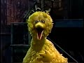 Big Bird Makes Accidents Funny Version