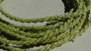 preview picture of video 'Making Primitive Yucca Rope (Bowstring) Using Twisted Cordage'