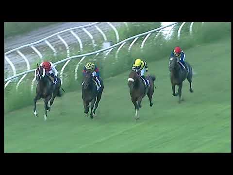 Napoli Galoppo 10/07/2021 - 1ª corsa