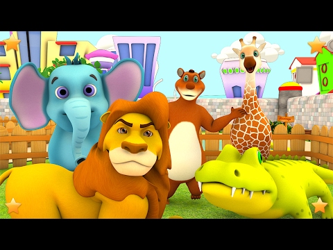 The Zoo Song | We’re going to the Zoo | Animals Song | Kindergarten Songs