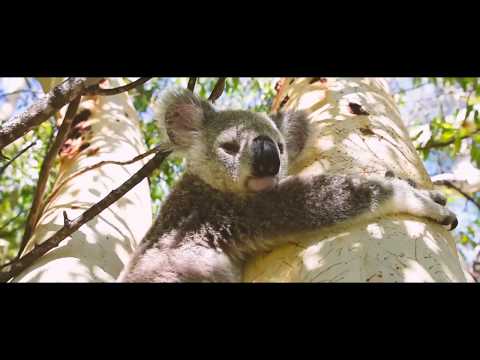 Townsville North Queensland