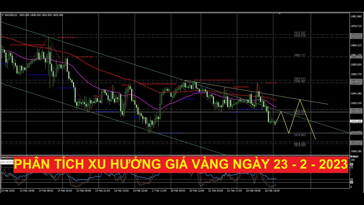 Video phân tích xu hướng giá vàng ngày 23 - 2 - 2023