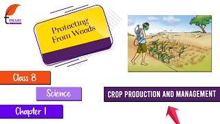 Crop Production and Management - Protecting From Weeds