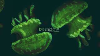 Dembow Music Video
