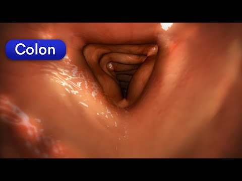 The #1 Way to UNCLOG Your Colon Fast