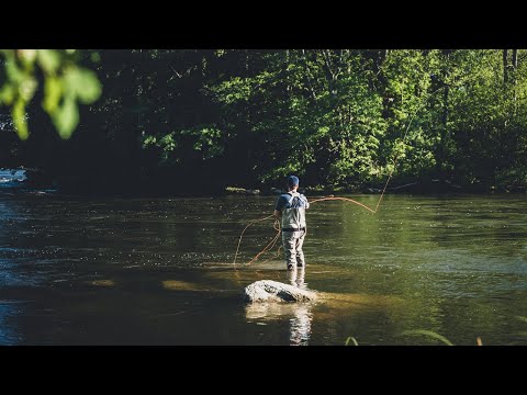 Kuulumisia Kymijoelta #22 - "Lohia odotellessa" | Lohenkalastusta Kymijoella