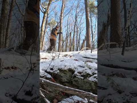 That's one way to clear a path