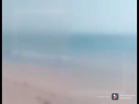 Zeest first Visit at Beach