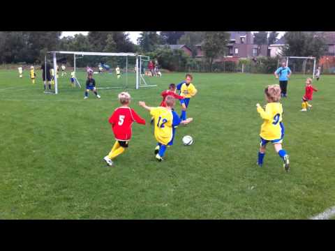 Sottegem - KSVO (Bijz. Prov. U8)