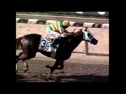 Commendable - 2000 Belmont Stakes