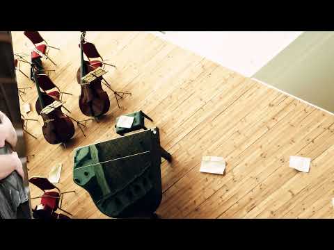 " Petrisor Bodea - Nu judeca  "