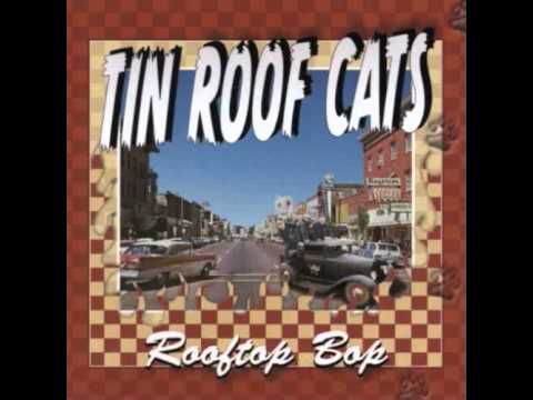 Tin Roof Cats / Cat Talk