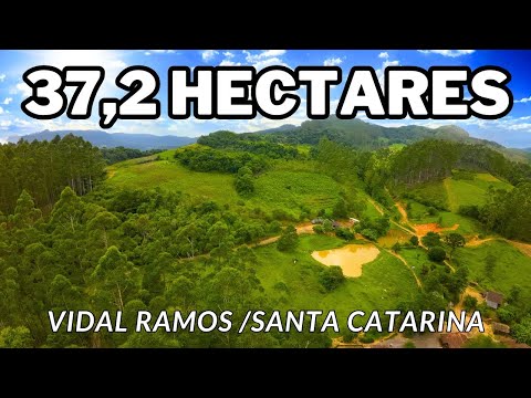 SÍTIO EM VIDAL RAMOS - SANTA CATARINA COM 37,2 HECTARES!