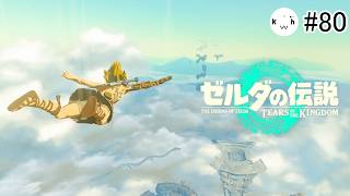 #80  ティアキンやるぞーーー！！！【ゼルダの伝説 ティアーズ オブ ザ キングダム】