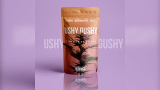 Ushy Gushy Music Video