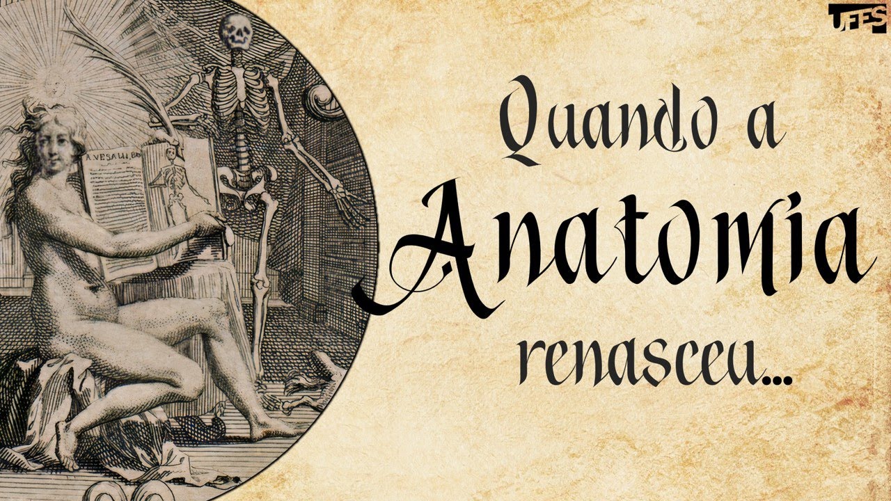História da Anatomia: Quando a Anatomia renasceu...