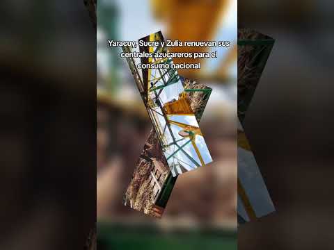 Yaracuy, Sucre y Zulia renuevan sus centrales azucareros para el consumo nacional