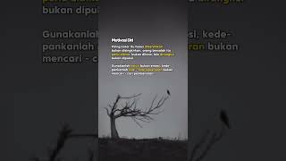 Download lagu mecari kebenaran #trending #storywa #stroywaindonesia #motivation #storyharian #quotes #storytime mp3