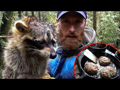 Raccoon Meat: A Complete Guide to Preparation & Cooking (Survival Edition)