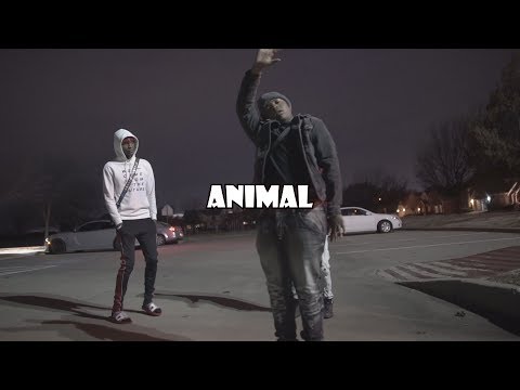Stunna 4 Vegas ft DaBaby - Animal (The Woah Dance Video)