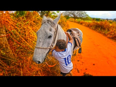 I FOUND VITINHO'S STOLEN HORSE *It was very far away and he cried a lot*