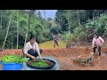 Positive Energy And The Skillful Hands Of DAU TU Pond Bank Upgrade Completed