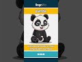 panda - a big, black-and-white bear... video thumbnail