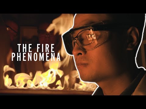 UMD to Co-Lead First-of-its-Kind FEMA Study of Health Effects on Wildland Firefighters