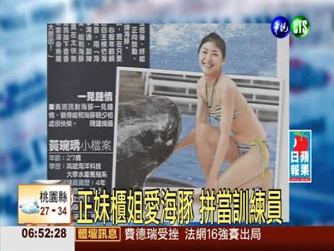 正妹櫃姐愛海豚 拼當訓練員
