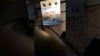 Video thumbnail for V2 big muff rams head 73 by Brad Beaver