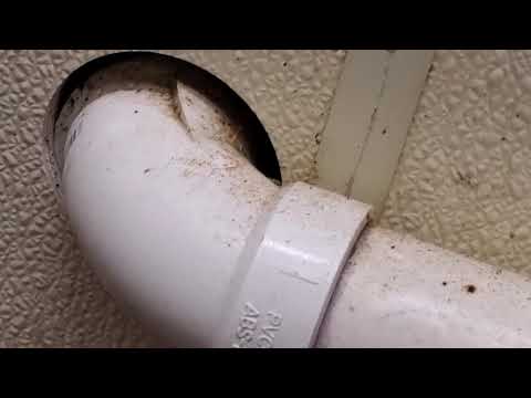 Exterminators in Neptune, NJ