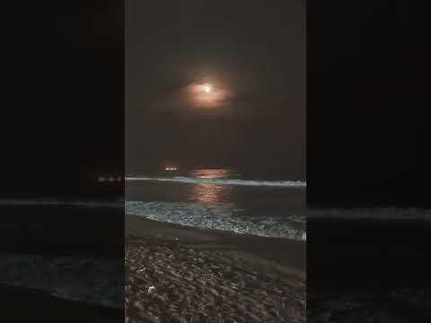 bachalor party#beach #travel #summer #sea #nature #photography