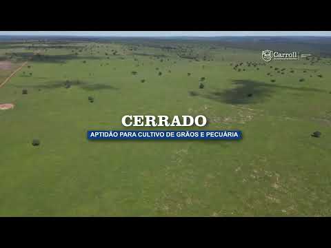 Fazenda à venda em  Santo Antônio do Leste – Mato Grosso