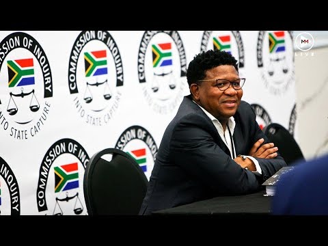 'Curry, curry, curry! I ate, but it never finished me' What the Guptas offered Mbalula (to eat)
