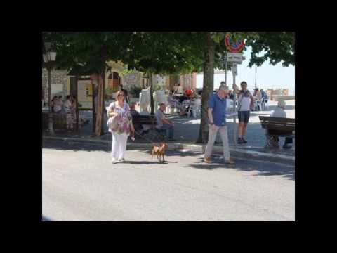 SAN POLO DEI CAVALIERI - TIVOLI