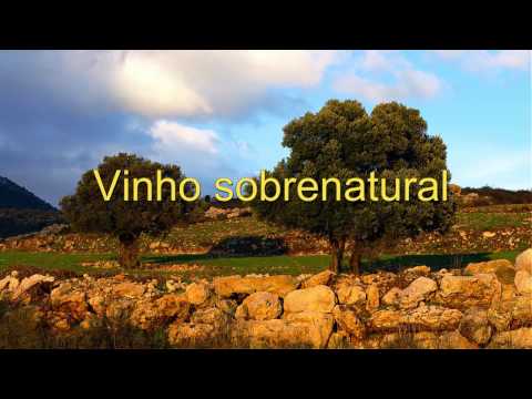 Lucas Santana - Vinho Sobrenatural - Playback legendado