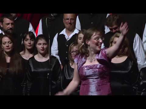 HFSB 2017 - Mešoviti hor Pevačkog Društva "Prepodobni Rafailo Banatski"