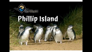 Overview of the Go West Phillip Island tour from Melbourne.