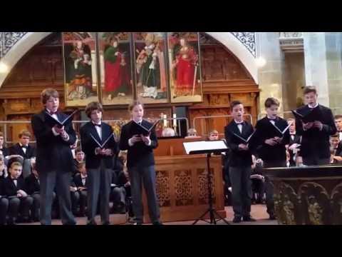 Stadtsingechor zu Halle | "Herr Gott, dich loben alle wir" Johann Hermann Schein (2016)
