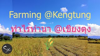 preview picture of video 'The traditional way of farming in Keng Tung Township, Eastern Shan State, Myanmar (Burma)'