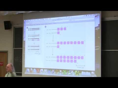#17 Biochemistry Lecture DNA Replication III & Transcription) from Kevin Ahern's BB 350  Broadband