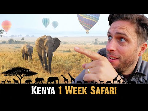 KENYA 🇰🇪 1 Week SAFARI | Maasai Mara, Lake Nakuru, Naivasha