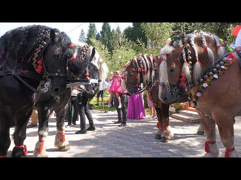 Daniel and Crina's fairytale wedding July 26, 2025 Maramureș