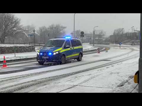 SYLT1 and Sylt TV - News, Events, & Live Webcam von Sylt