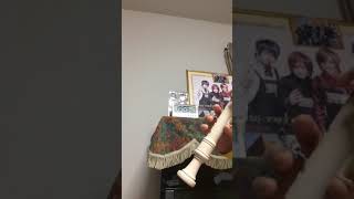 【リコーダー】サウダージ / ポルノグラフィティ