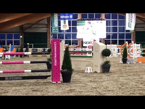 GLENDINE DOMINO (9yo Obos Quality) Holle-Wüsting 2021 - 2. Platz SPR M* 130 cm