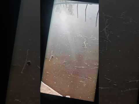 ENZY PRO Testimonio/ tutorial  Corto 1 Soledad Dip zona Coronda Santa fe